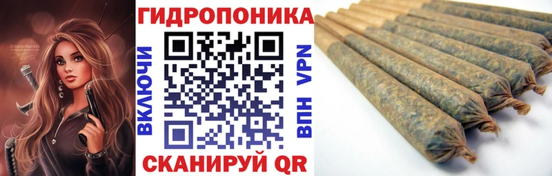 Канабис OG Kush Пионерский
