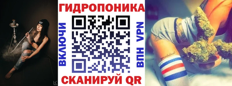 Каннабис VHQ  как найти наркотики  Пионерский 